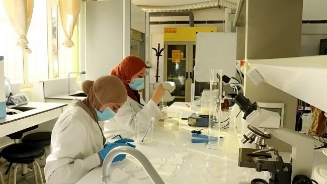 Algeria Shares Healthcare Expertise to Advance Africa's Pharmaceutical Self-Reliance