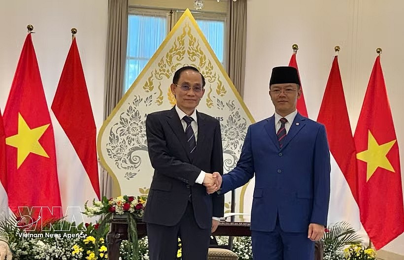 Vietnamese Minister of Foreign Affairs Le Hoai Trung (left) and his Indonesian counterpart Sugiono (Photo: VNA)