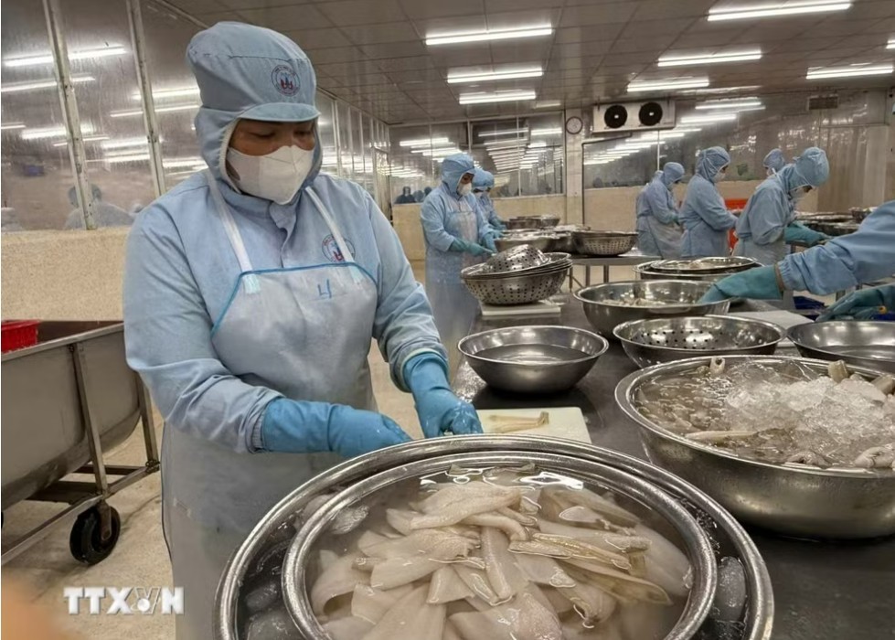 European Businesses' Confidence Index in Vietnam Rises Sharply