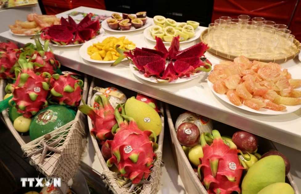 European Businesses' Confidence Index in Vietnam Rises Sharply