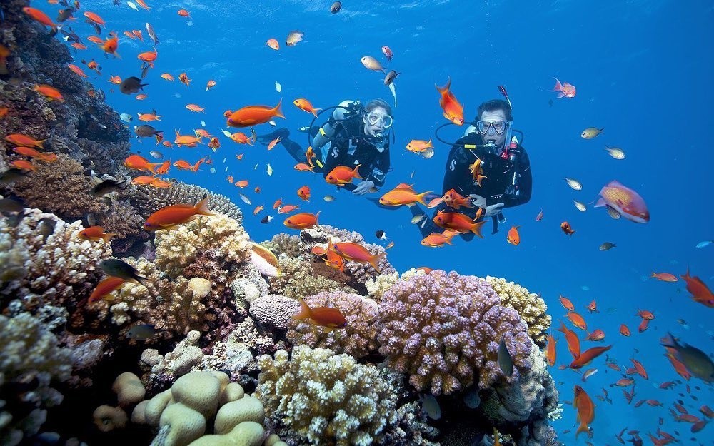 Cu Lao Cham is home to hundreds of coral reefs and diverse marine ecosystems across its 5,000-hectare area (Photo: Collected).