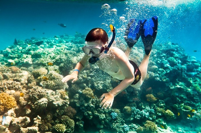 Top Coral Reef Diving Destinations in Viet Nam for Summer 2026