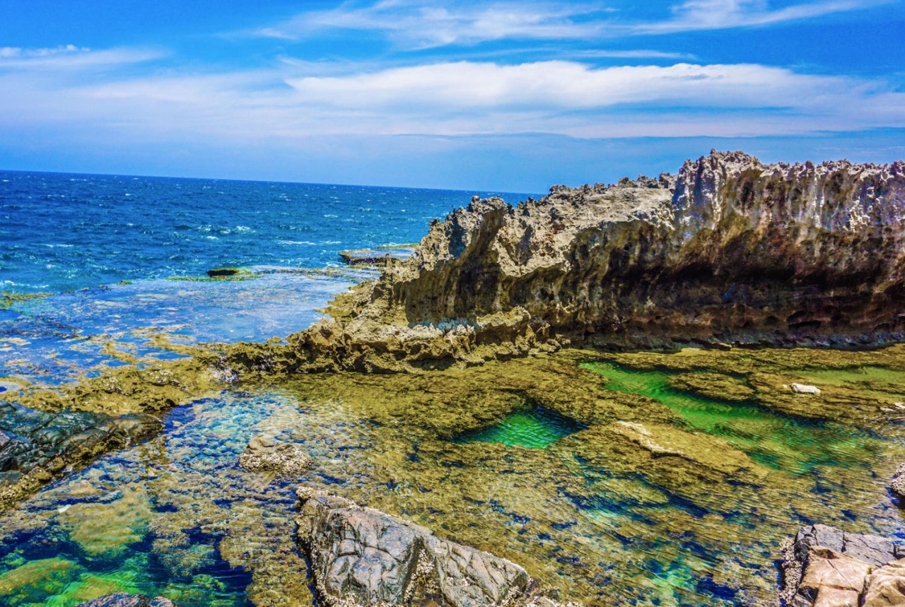 Top Coral Reef Diving Destinations in Viet Nam for Summer 2026