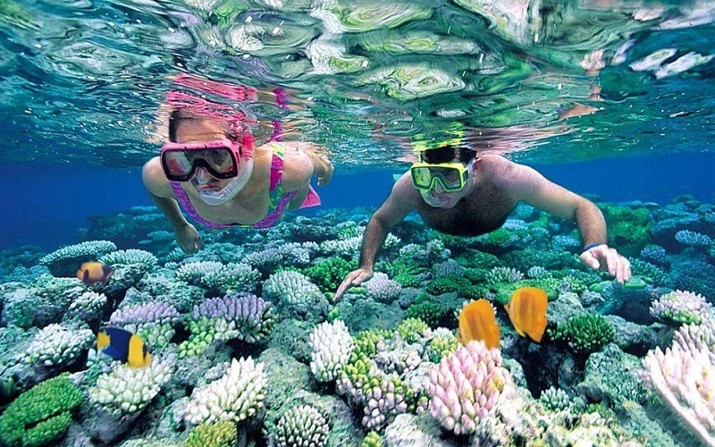 Top Coral Reef Diving Destinations in Viet Nam for Summer 2026