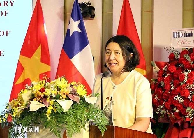 Da Nang Promotes Connections with Localities and Businesses in Chile