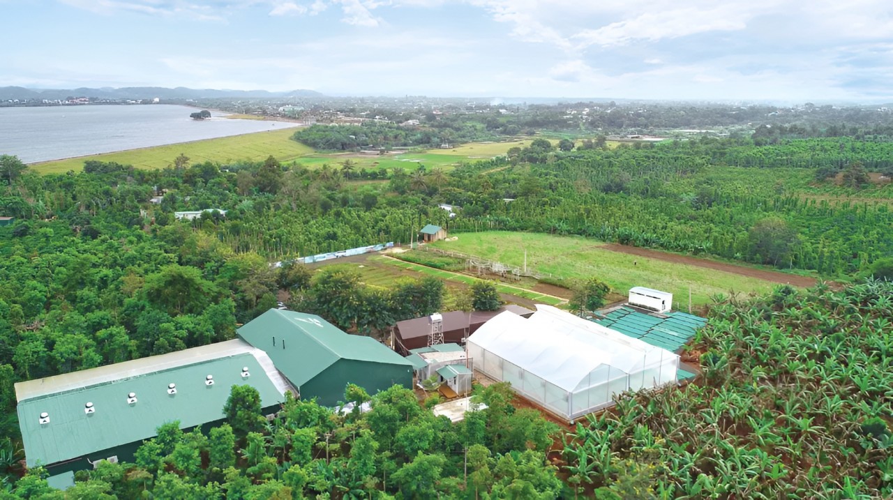 Vietnam Seizes Opportunities to Boost Coffee Export