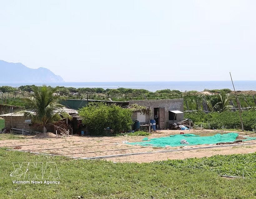 A site for constructing Ninh Thuan 2 Nuclear Power Plant in Thai An village, Vinh Hai commune, Khanh Hoa province. (Photo: VNA)