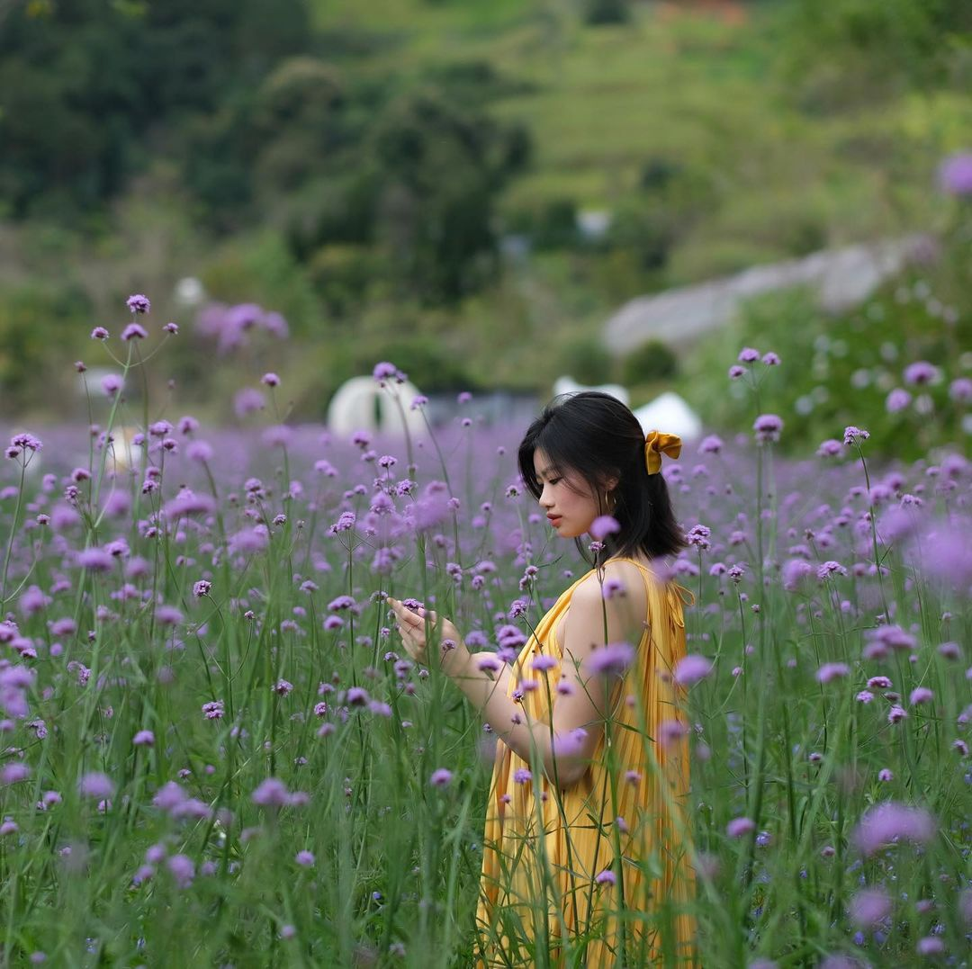 Top ideal places to admire Tet flowers in Da Lat