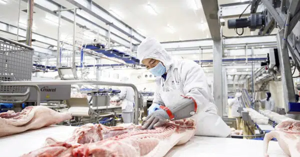 russian firm plans to build us 14 billion pork processing complex in vietnam
