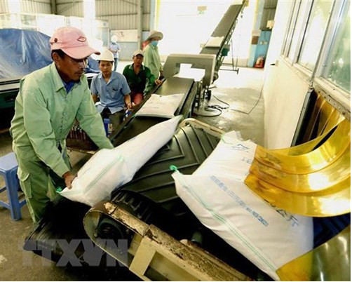 Vietnam’s first 60 tons of rice exported to UK under UKVFTA