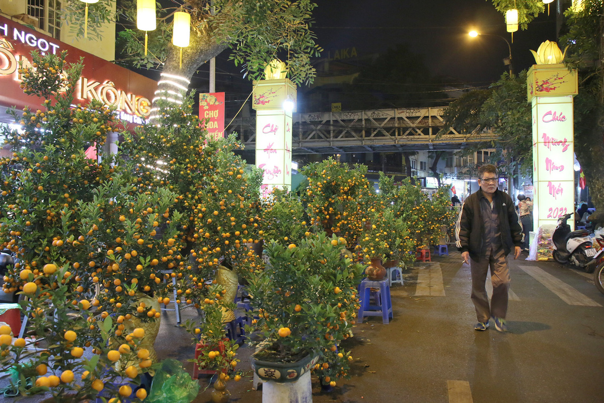 tet flower markets in hanoi old quarter deserted due to covid 19 in photos