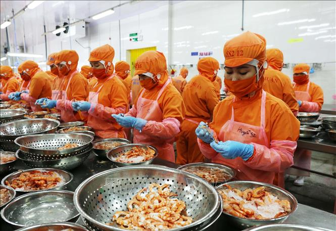 Vietnam’s seafood exports expected to hit US$ 9.4 billion in 2021
