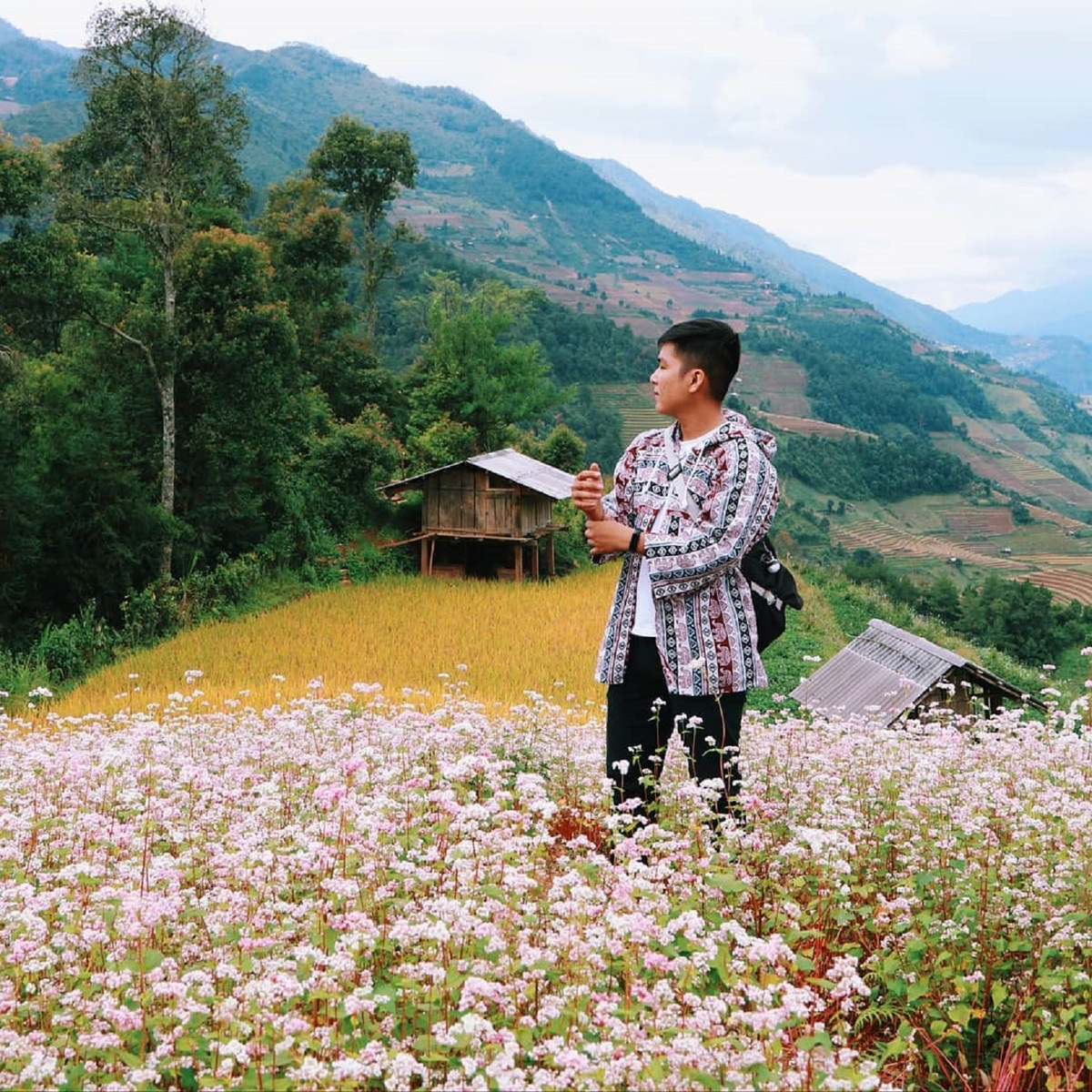 flower season across vietnam under the lens of local photographer