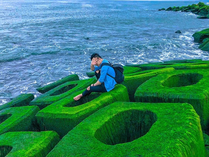 Cinematic beauty of green mossy rocky ground in Phu Yen