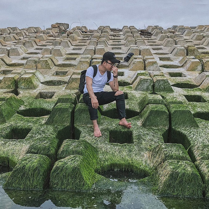 Cinematic beauty of green mossy rocky ground in Phu Yen