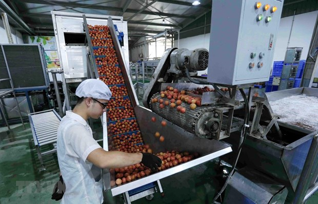 Vietnam aims $10 bln in fruit, vegetable export value by 2030
