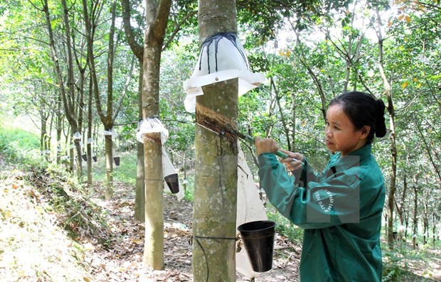 Vietnam’s rubber exports enjoy surge in first four months of 2021