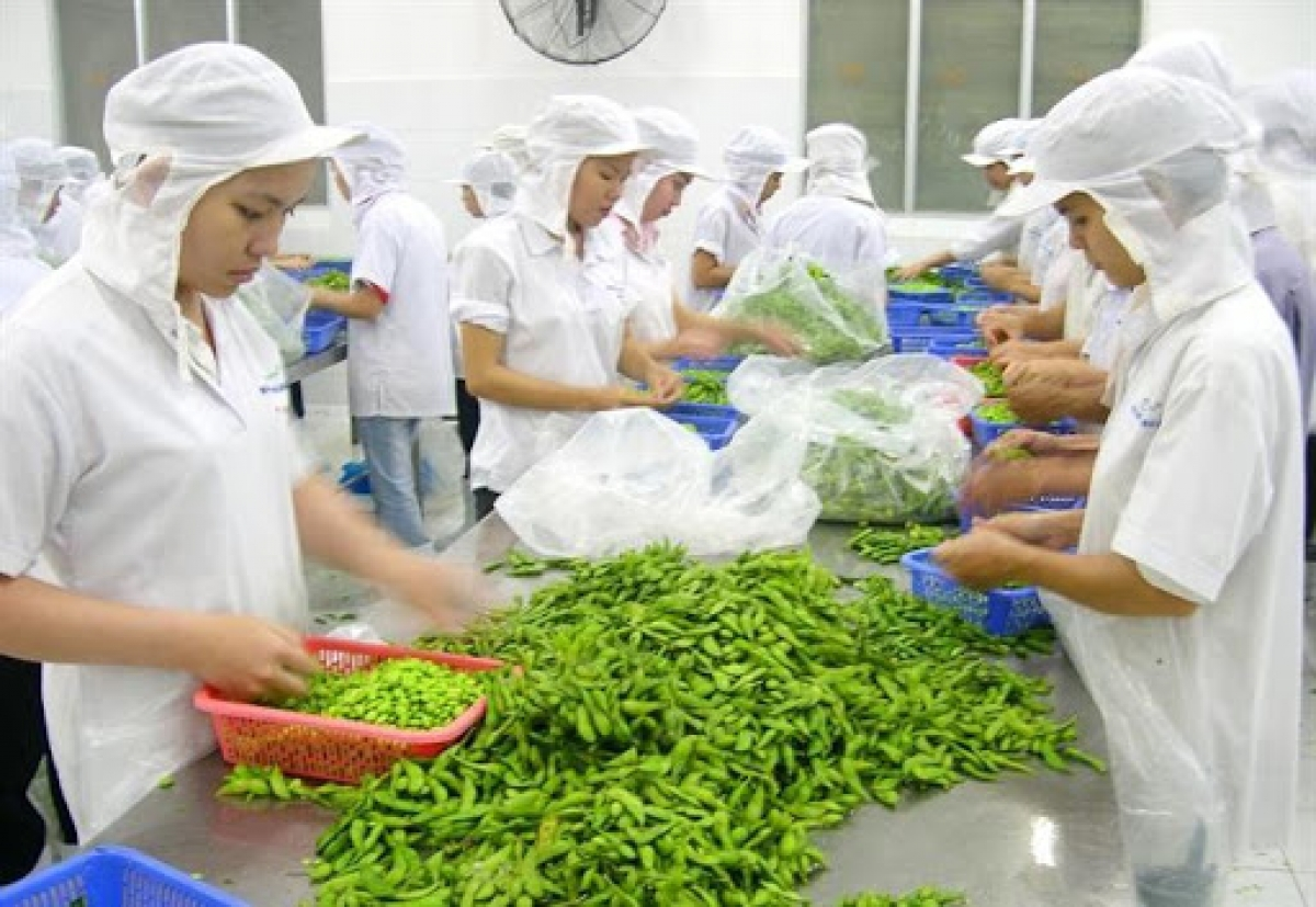 Vietnam’s fruit and vegetable exports skyrocket in first four months of 2021