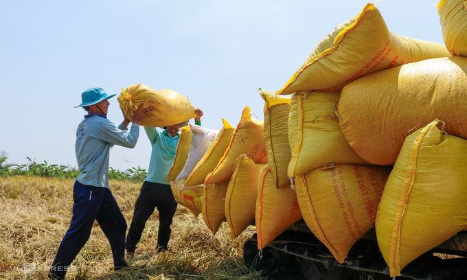 Philippines becomes Vietnam's largest rice importer