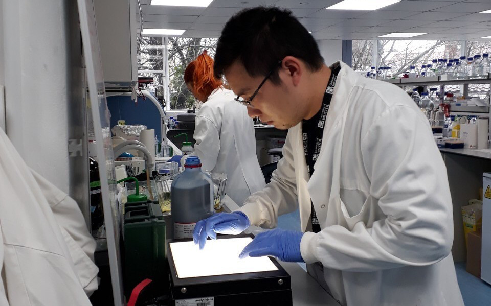 COVID 19 Vaccines available soon are ”Made-in-Vietnam” COVID 19 Vaccines available soon are ”Made-in-Vietnam”