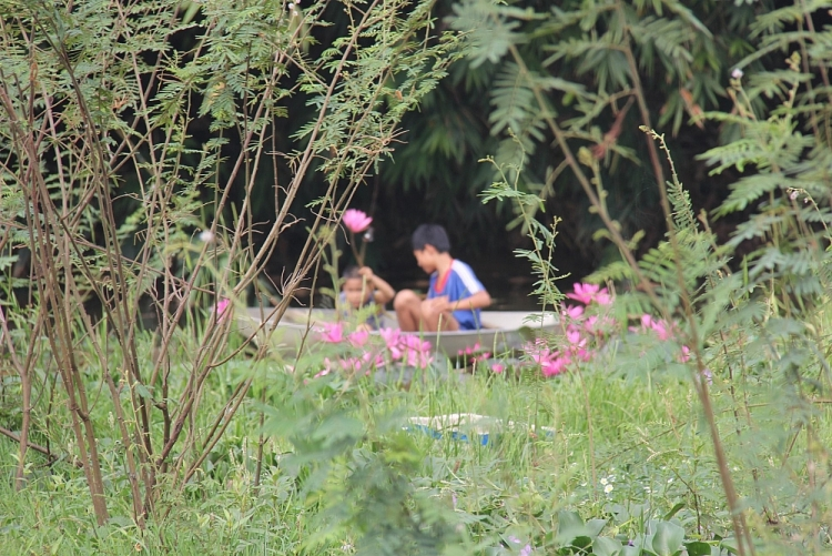 Dong Tam- a new peaceful day
