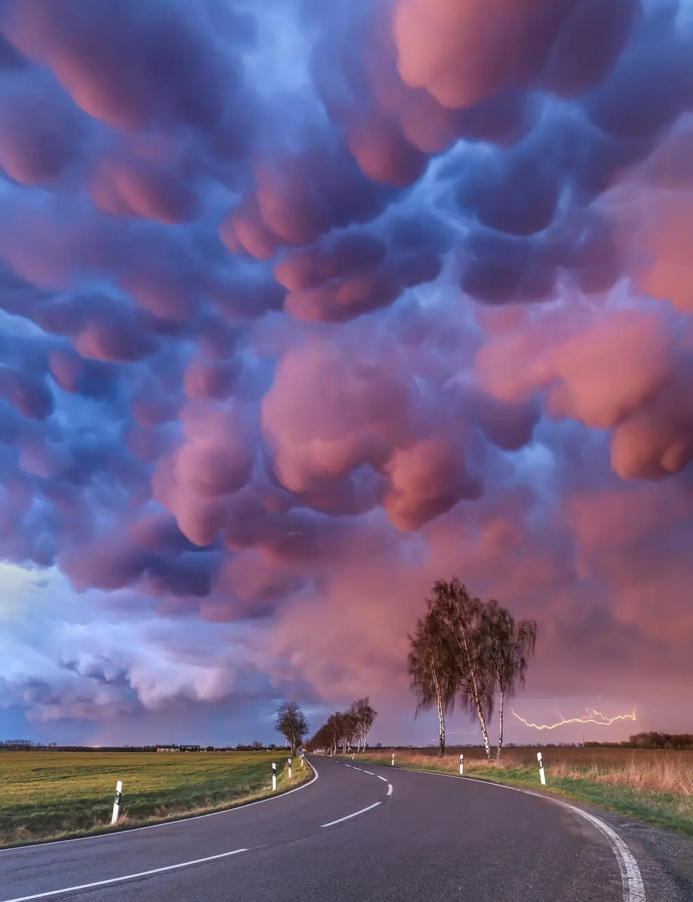 Vietnamese photographer wins international photo contest