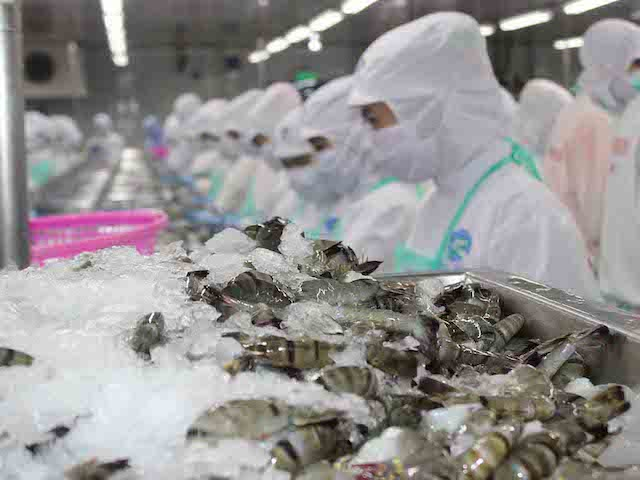 which economic sectors are predicted to grow in vietnam next year