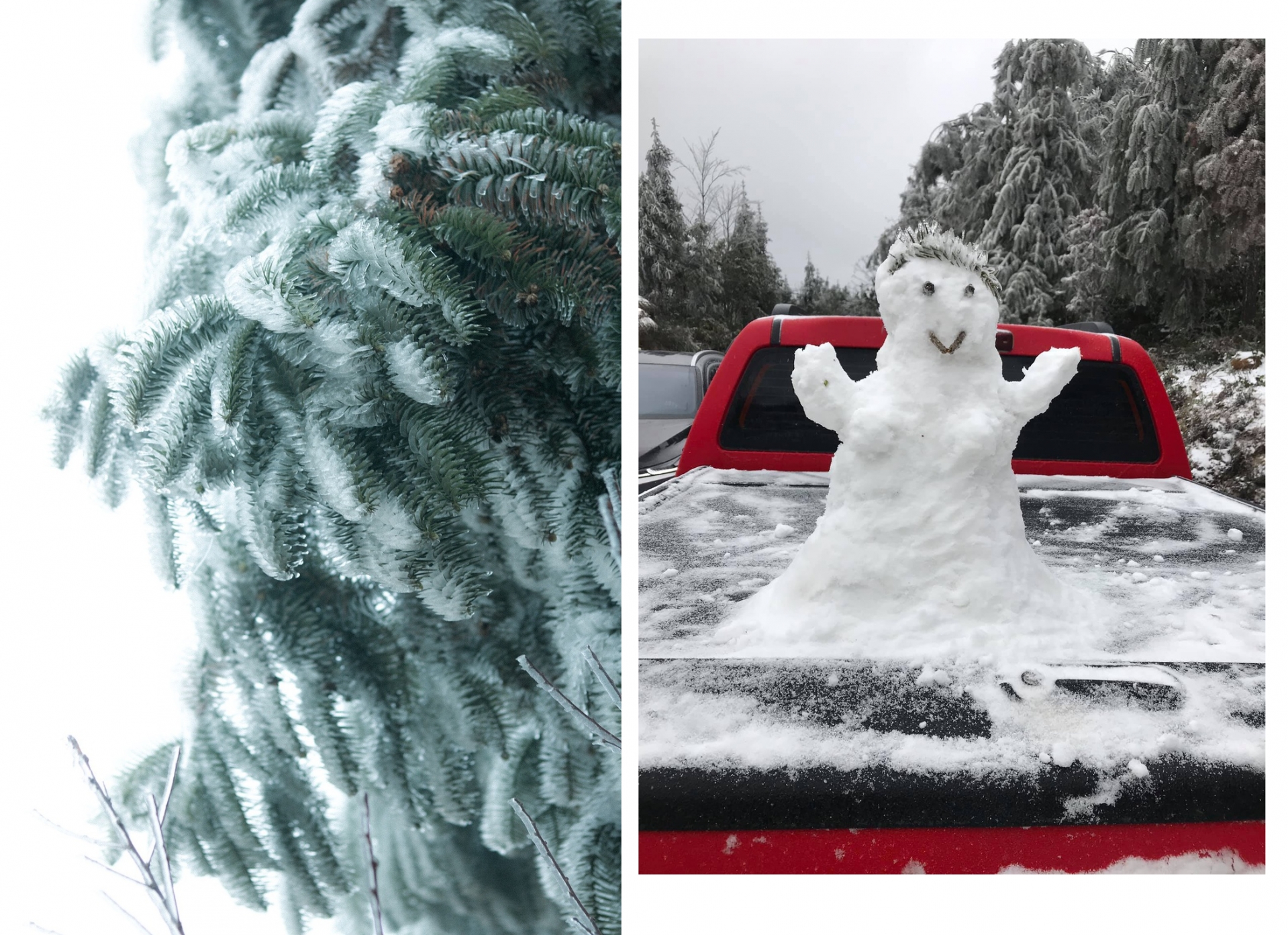 northern highlands where snowfall astounds tourists with picturesque scenery