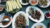 dried milk cicadas the taste of son la