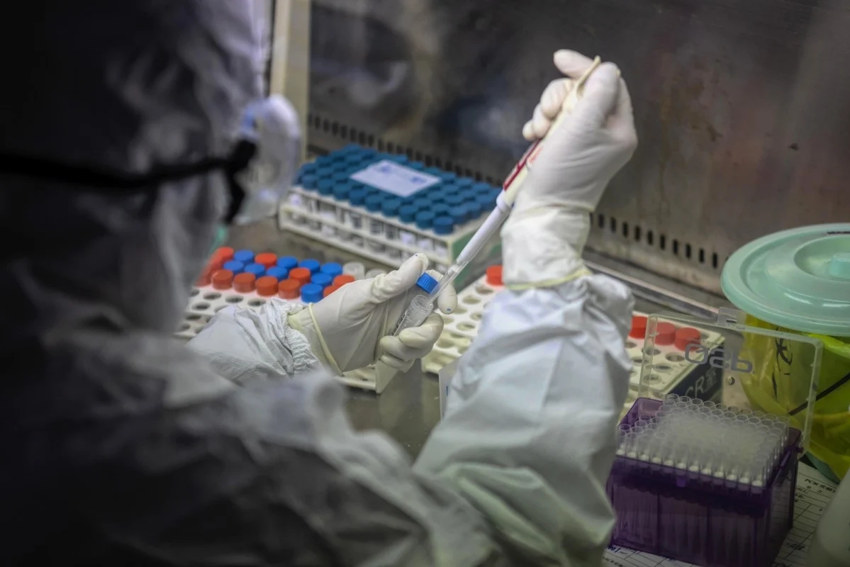 scmp coronavirus mutates into at least 30 different dangerous strains