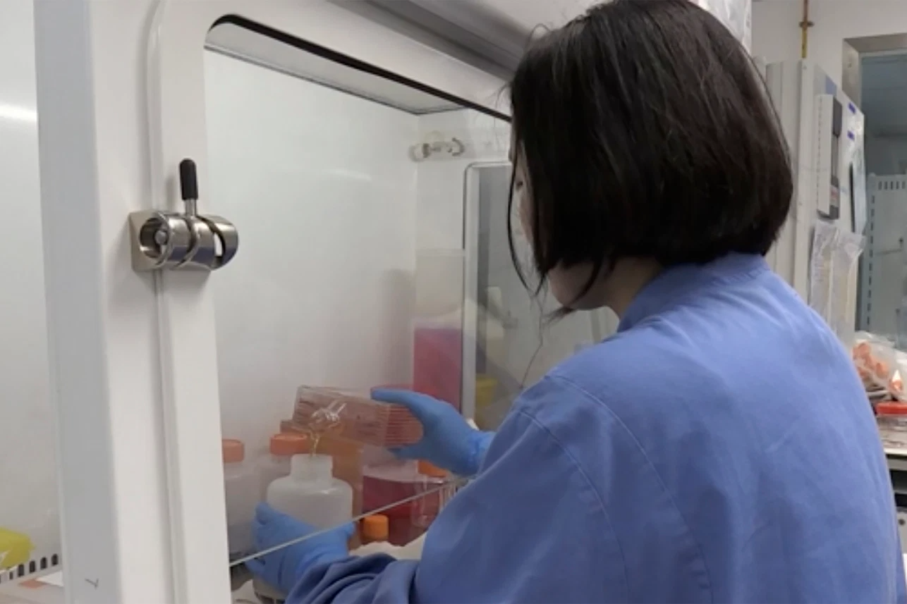 oxford developed vaccine appears to shield monkey from coronavirus