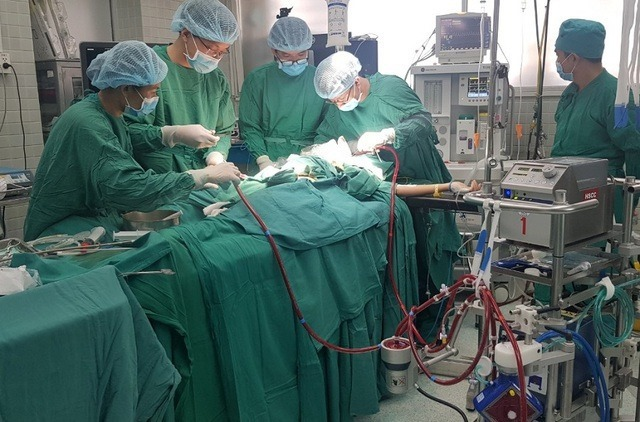 vietnam news today two vietnamese volunteered to donate lungs to critical british covid 19 patient