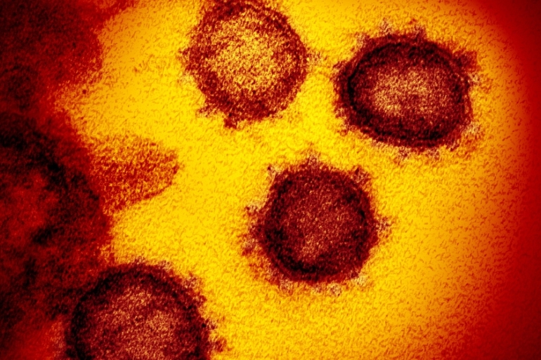 researchers covid 19 can remains infectious on banknotes mobile screen for 28 days