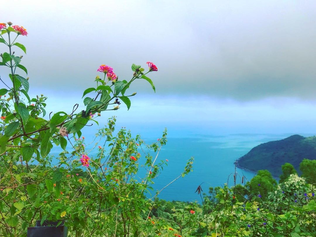 [Photo Series]: Vietnam in Bloom