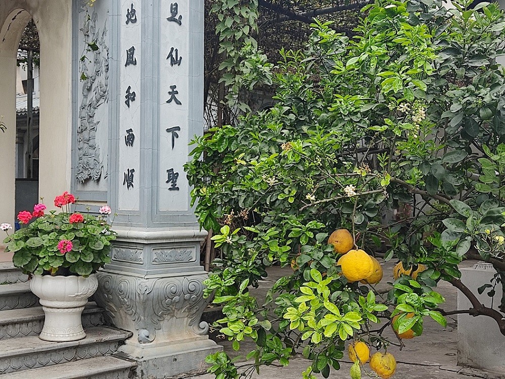 [Photo Series]: Vietnam in Bloom