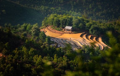 [Photo Series]: Rediscovering Vietnam