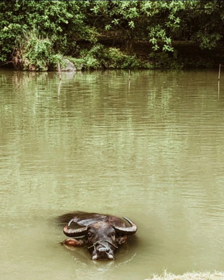 [Photo Series]: Rediscovering Vietnam