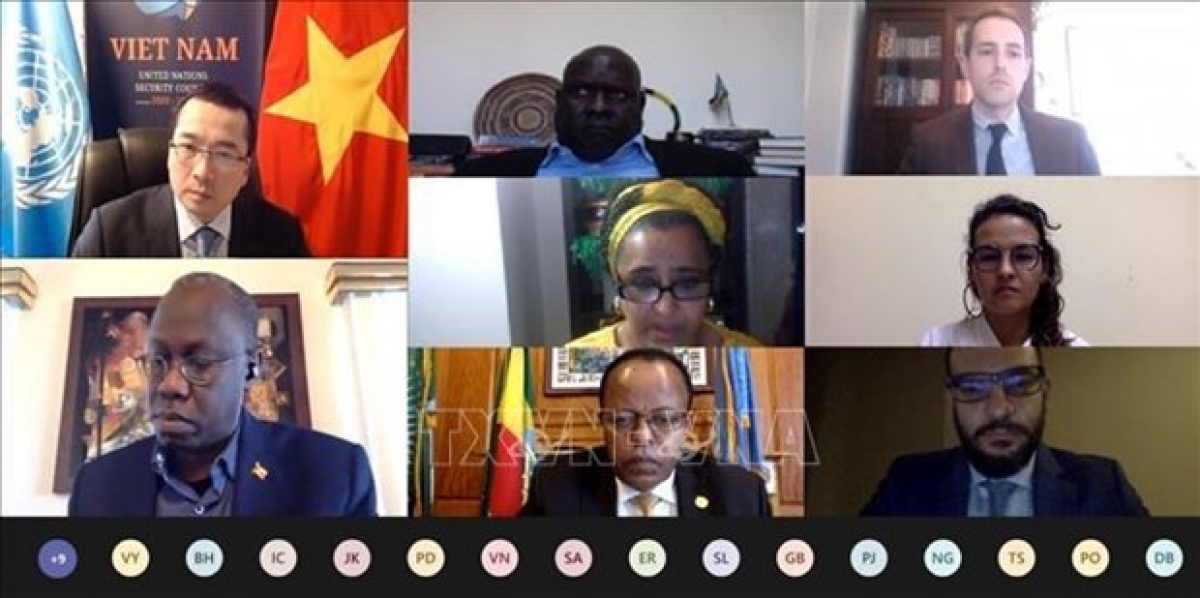 The online meeting of the UN Security Council (UNSC)’s South Sudan Sanctions Committee (Photo:VNA) 