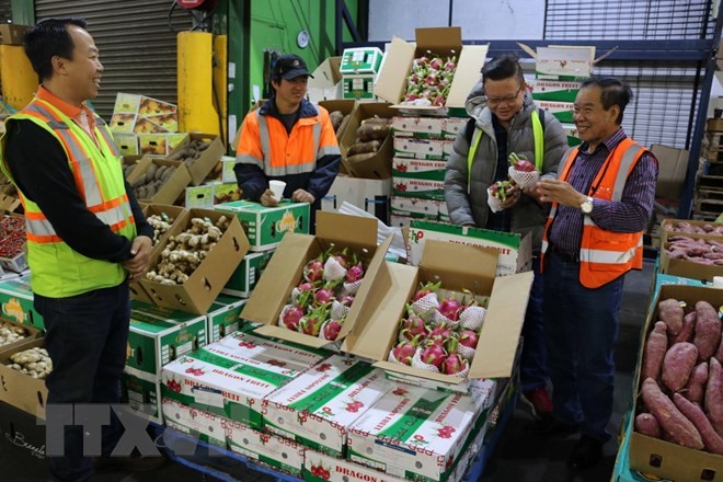 Vietnam – US Trade Value Hits Record High of $100 Billion in 2021