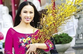 overseas vietnamese long for tet celebrations in homecountry