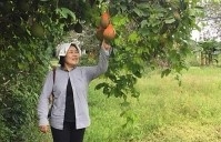 unique and delicious dishes made from rescuing agricultural products