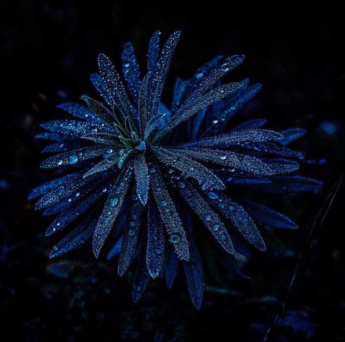 agora names four vietnamese photos top 50 stunning nature shots