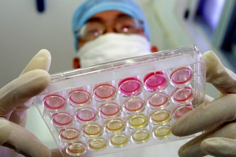 coronavirus may have spread in humans for years study says