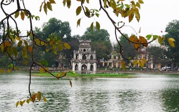 rapid covid 19 tests conducted to hanoi wholesale markets