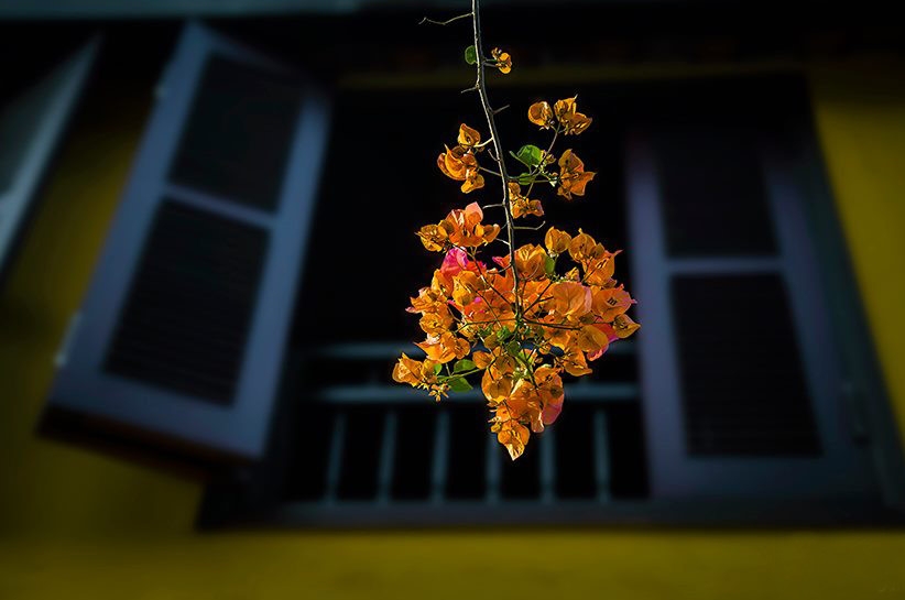 Hoi An boasts unexpected charm during COVID-19 lockdown hoi an boasts different charm during covid 19 lockdown