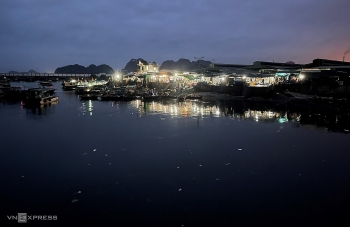 Vibrant nightlife at fish market in Bai Tu Long Bay