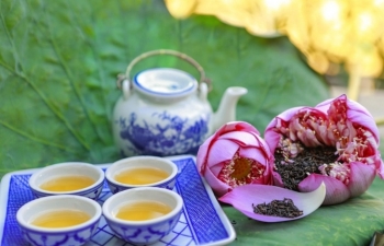 hues lotus tea the fine art in the tea culture
