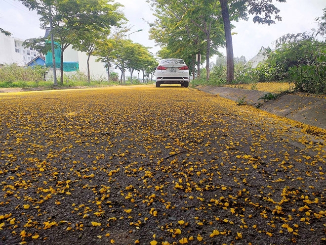 hue draws attentions with summer flower carpets