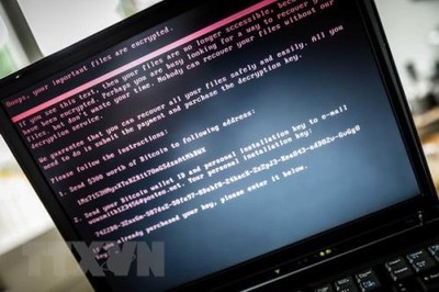 Vietnam’s information systems hit by nearly 1,500 cyber attacks