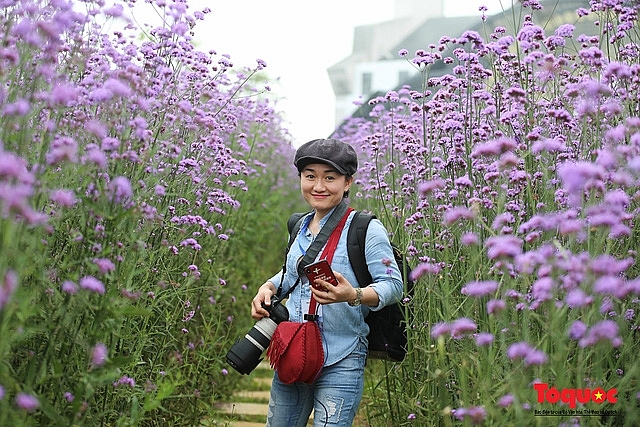 Enchanting violet flowers colors the dreamy northern town of Sapa Enchanting violet flowers colors the dreamy northern town of Sapa